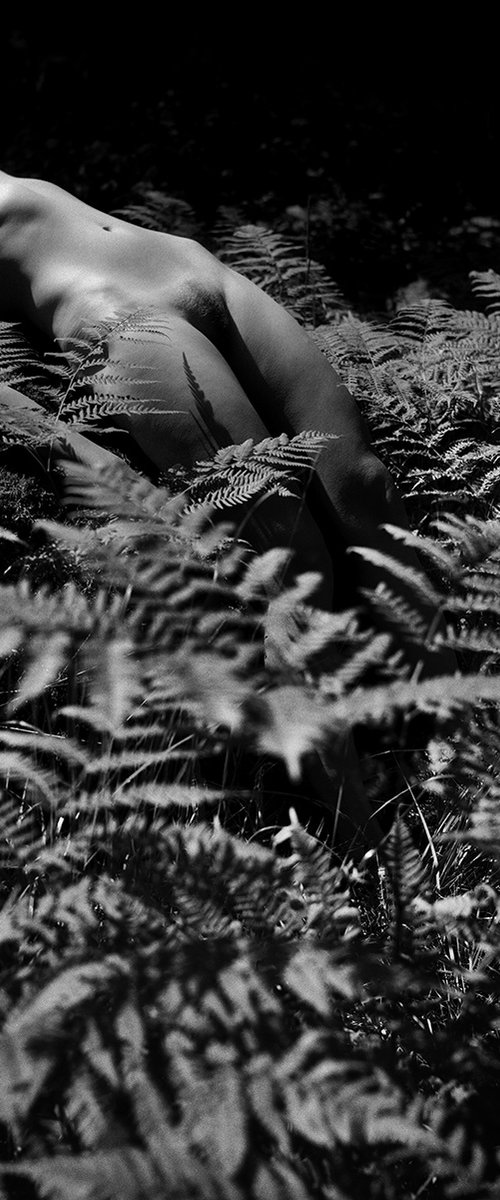 In the fern. Self portrait series. by Lida Khaikara