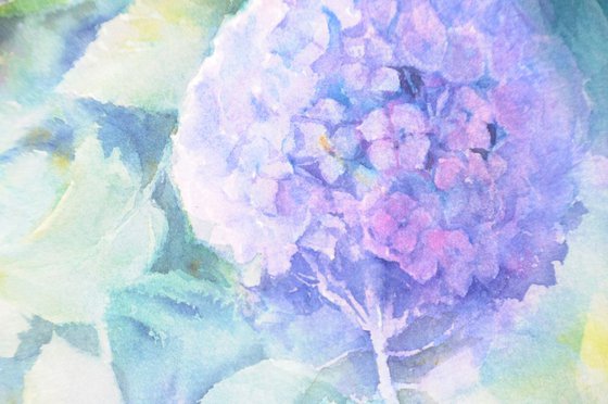 TWO FROM MANY. HYDRANGEAS TIME  original watercolor 20X40