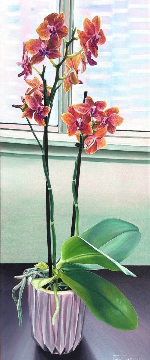 Orchid by Amani Muhammad