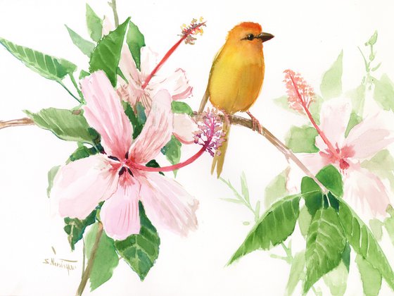 HIbiscus and Saffron FInch