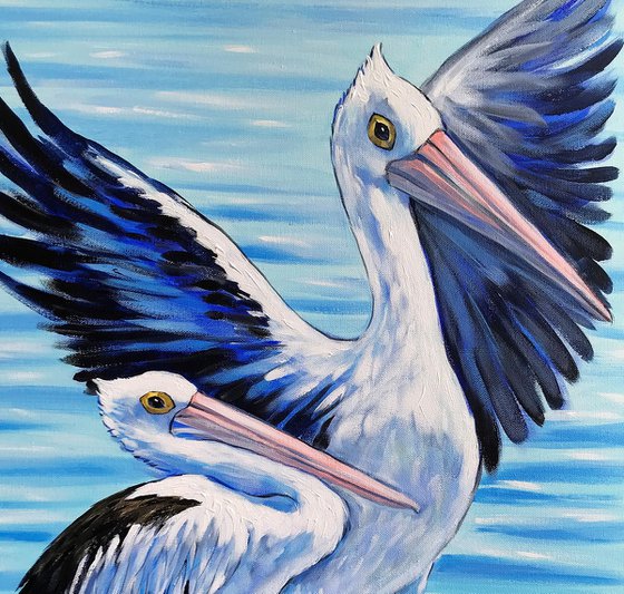 Pelicans at the Beach