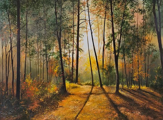 Sunlit Forest Serenity