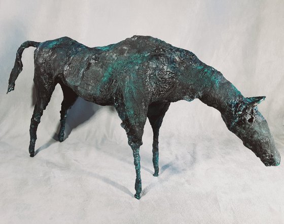 Equus