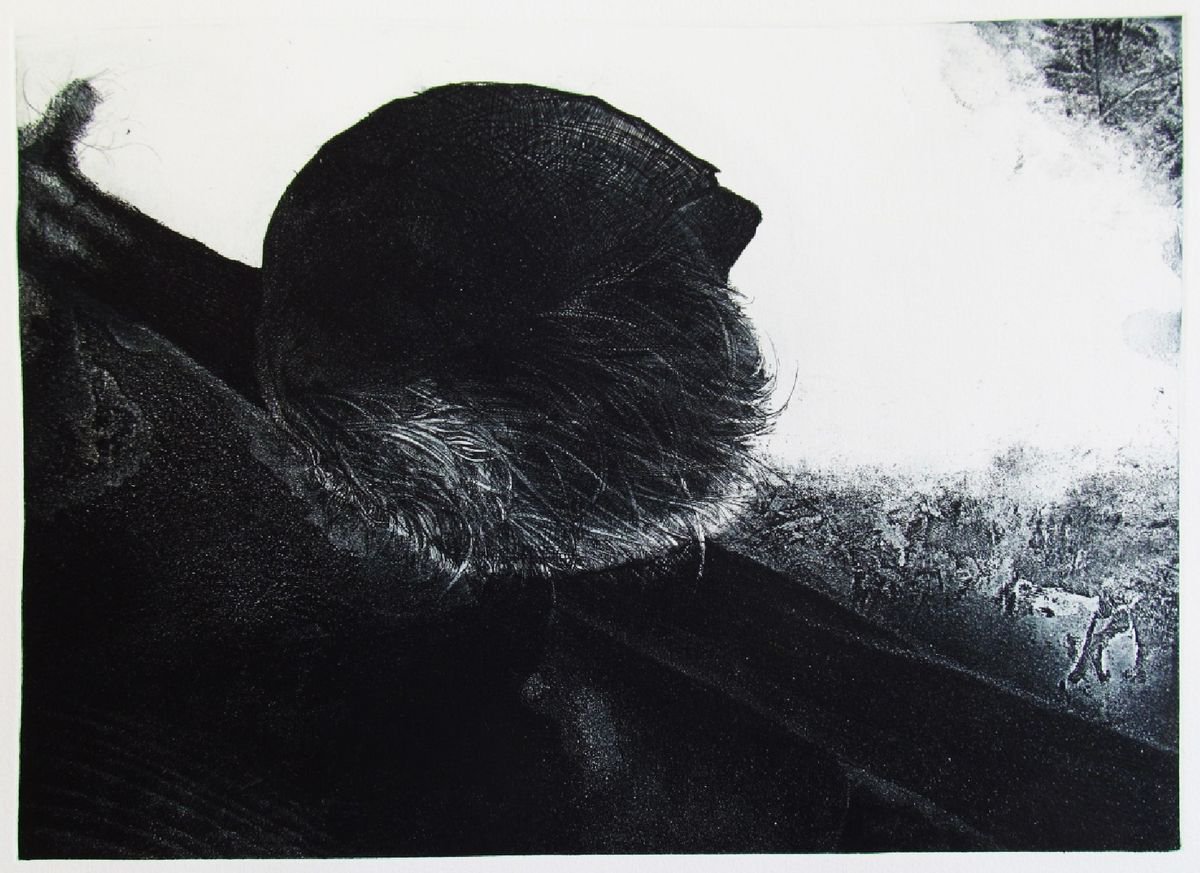 Surrealistic Botanical Etchings & Engravings By Kristina Vatova, 22 X 15", "Teget Iii", Original Artwork