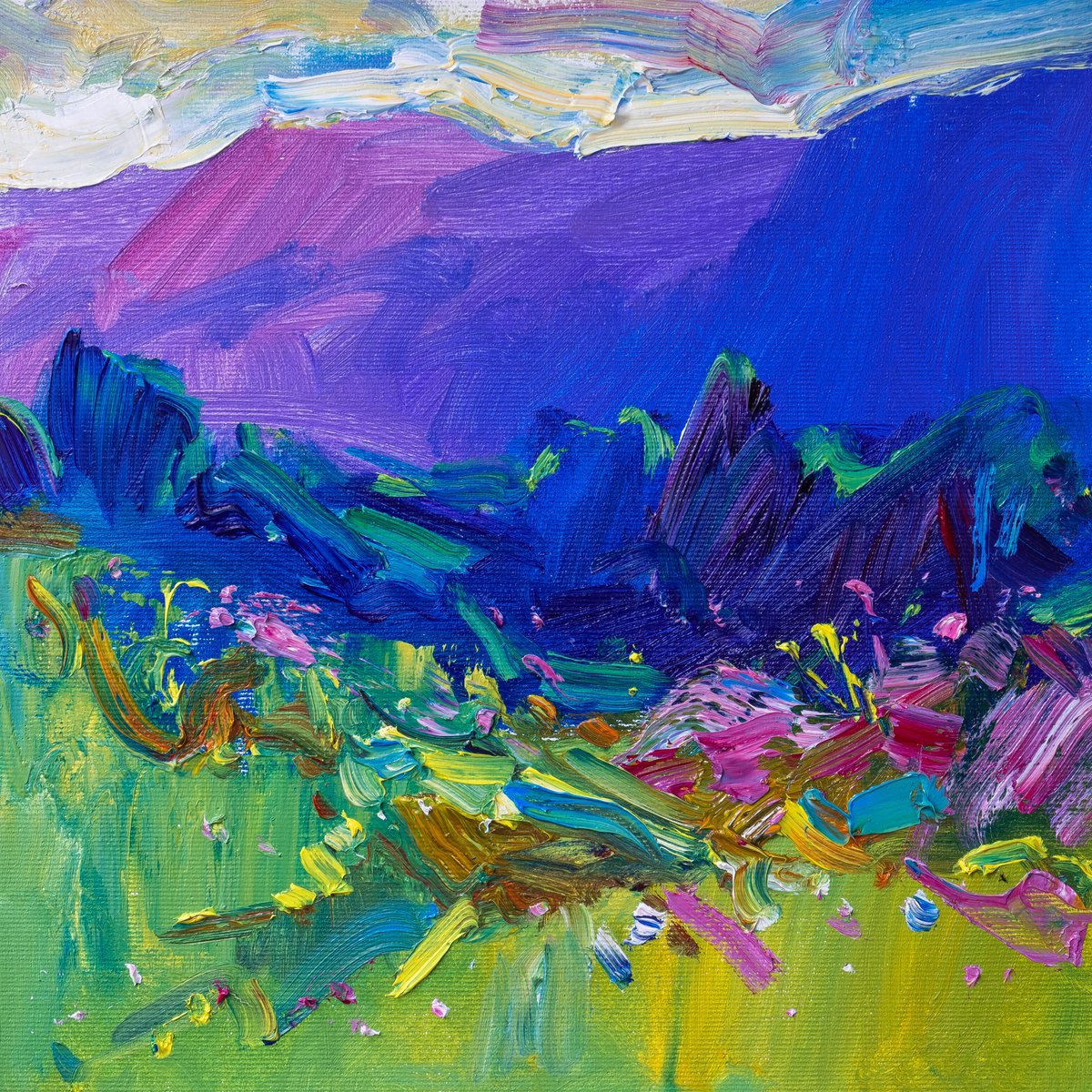 Mountain meadow - II by Vasyl Moldavchuk