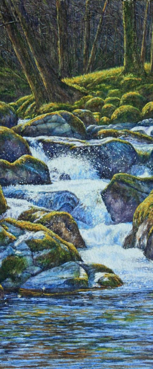 Lakeland Beck by Paul Morgan Clarke