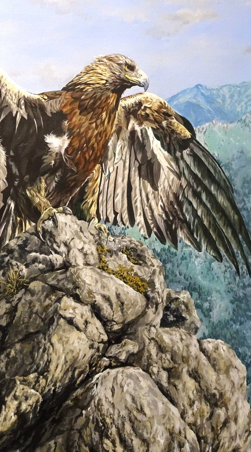 Royal Eagle by Julian Wheat