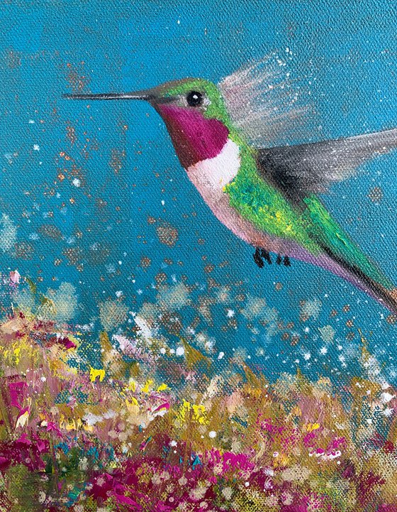 Anna's Hummingbird