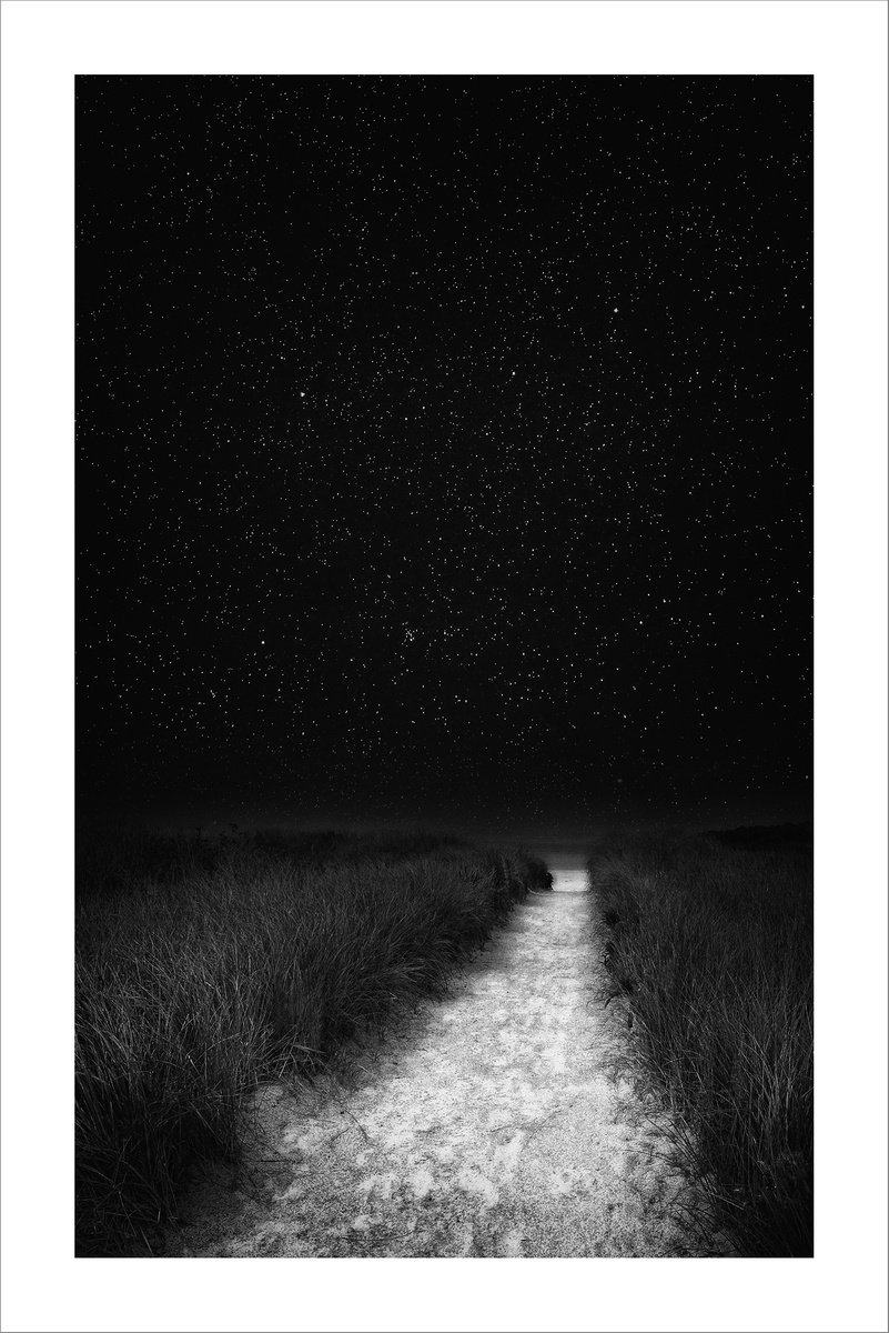 Beach Path at Night - 24 x 36 by Brooke T Ryan