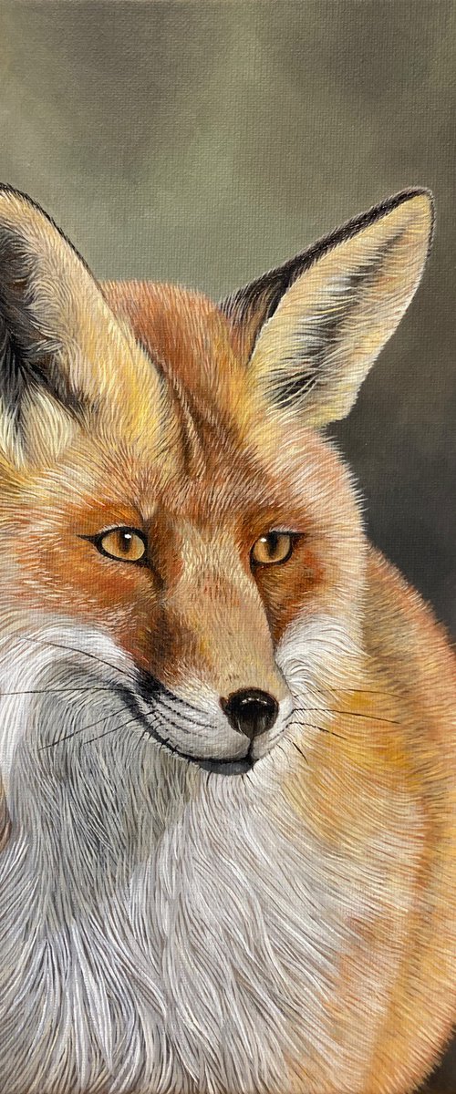 Red Fox by Yvonne B Webb