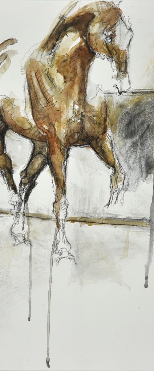Nu Equin 30t by Benedicte Gele