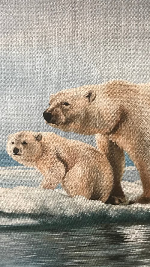 On an ice floe by Kakajan Charyyev