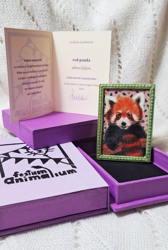 Red panda, part of framed animal miniature series "festum animalium"
