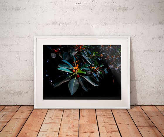 Orange, Green and Dark | Limited Edition Fine Art Print 1 of 10 | 60 x 40 cm