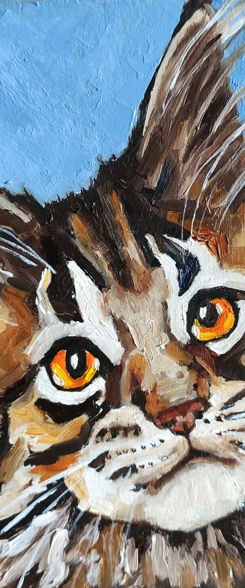 Cat Oil Painting Original Art Maine Coon Kitten Artwork Tabby Cat Portrait Pet Wall Art by Yulia Berseneva