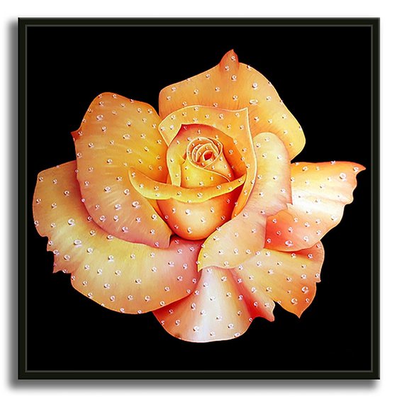 Rose Days