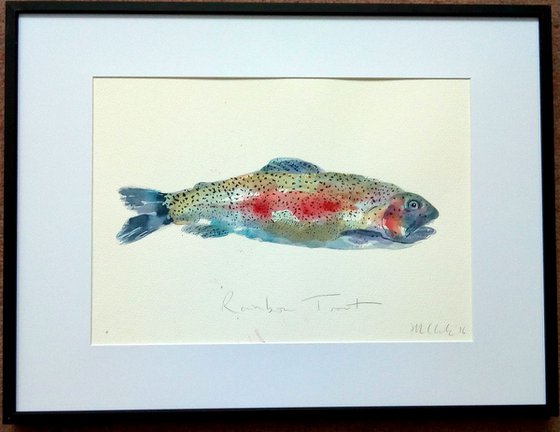 Rainbow Trout Fish