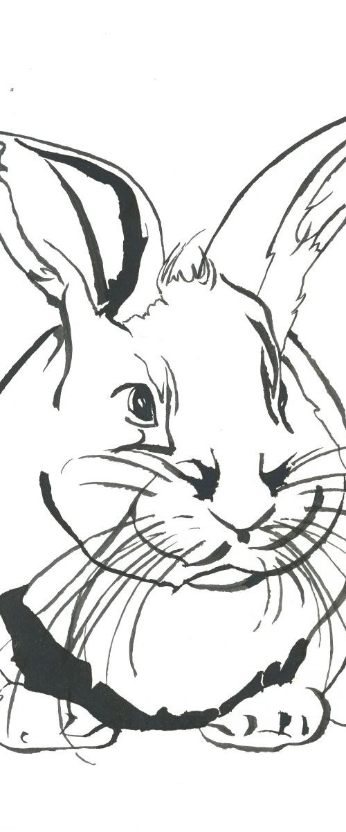 Rabbit I Animal Drawing by Ricardo Machado