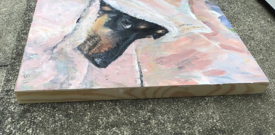 Dachshund: Still Raining