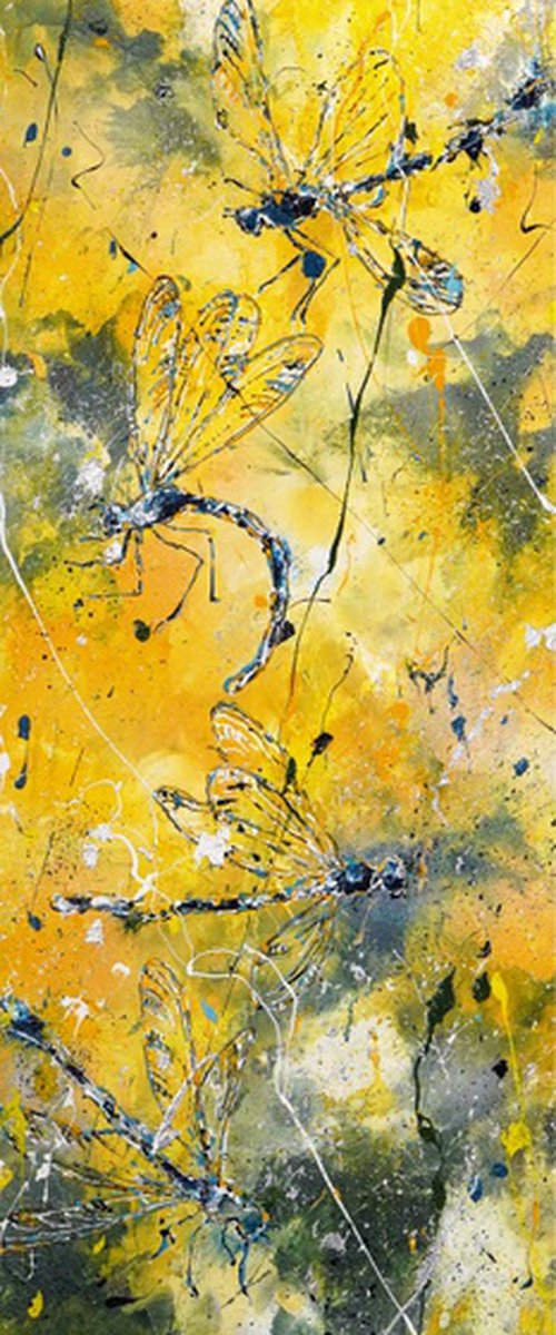 Dragonfly - A Dance Of Light by Dominique Lenoir