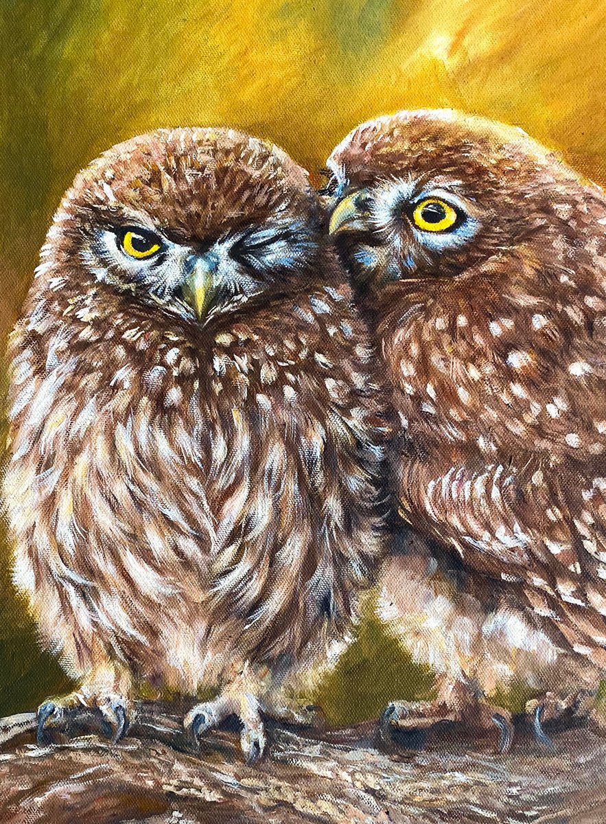 Photorealistic Animal Oil Painting By Arti Chauhan, 18 X 22, Little Owls Twit-Toot, Original Artwork