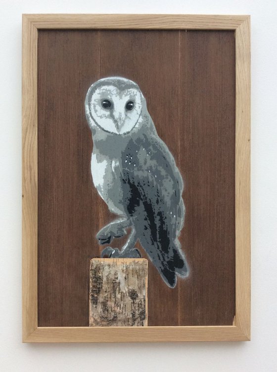 Barn Owl ll