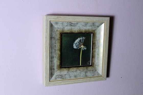 Wishing on a Dandelion, Miniature painting Framed and Ready to Hang