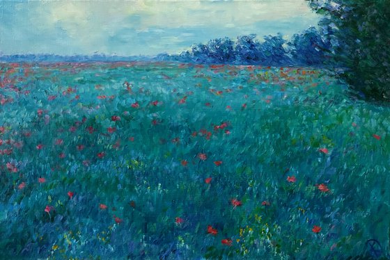 Evening field with poppies