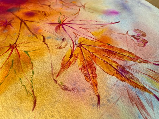 Indian summer 1