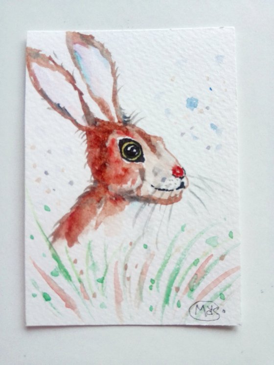 Hare Miniature