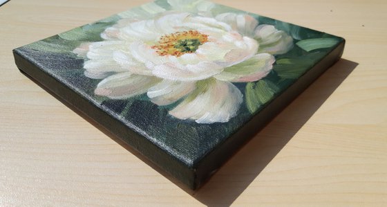 "White peony", small floral oil painting, flowers art