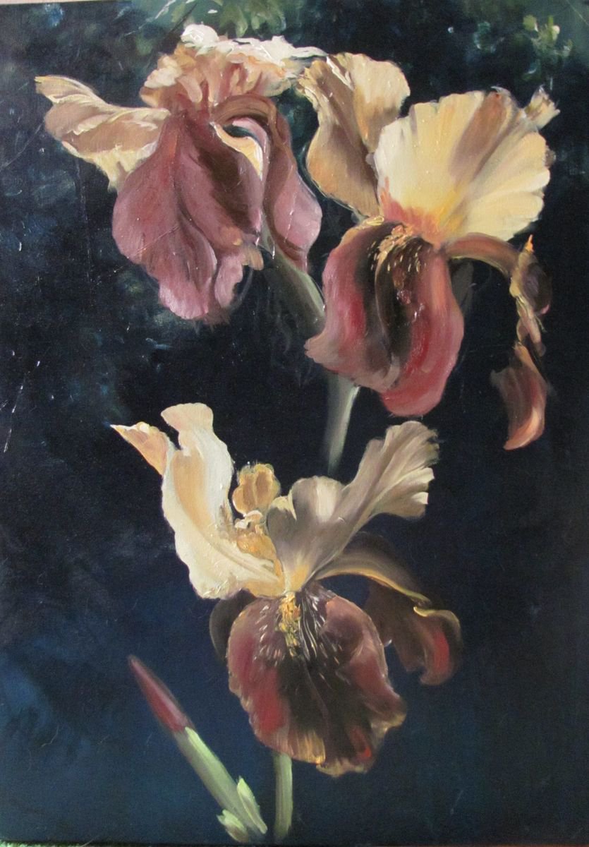 Warm Irises by Valeriia Radziievska