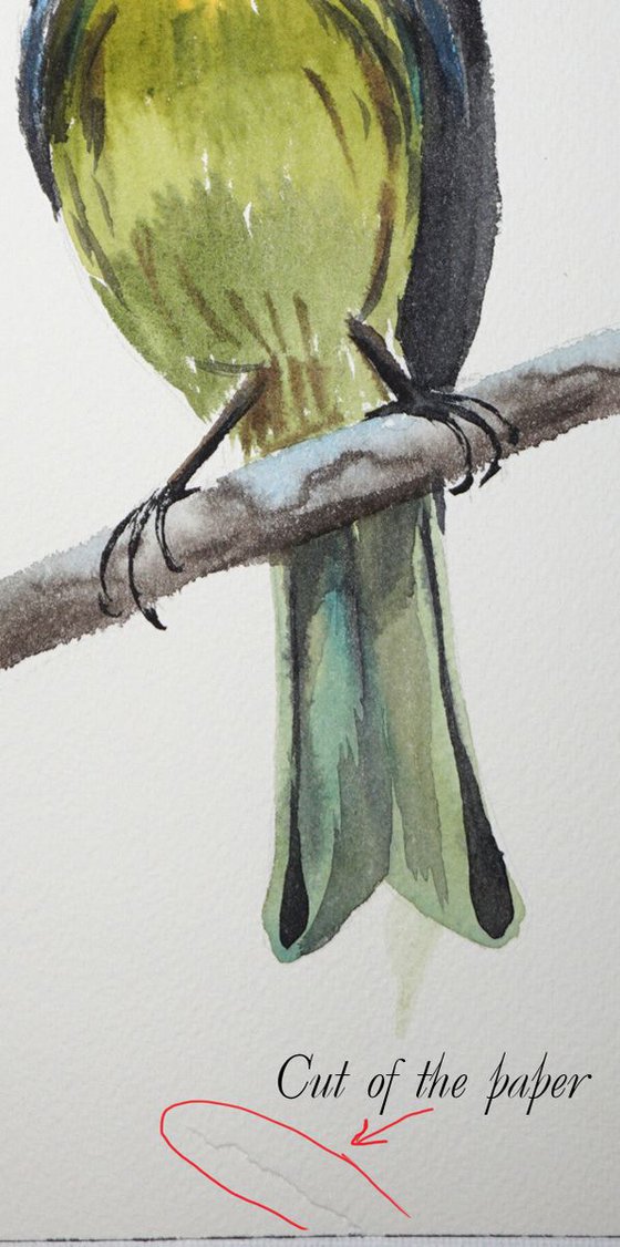 Blackburnian warbler