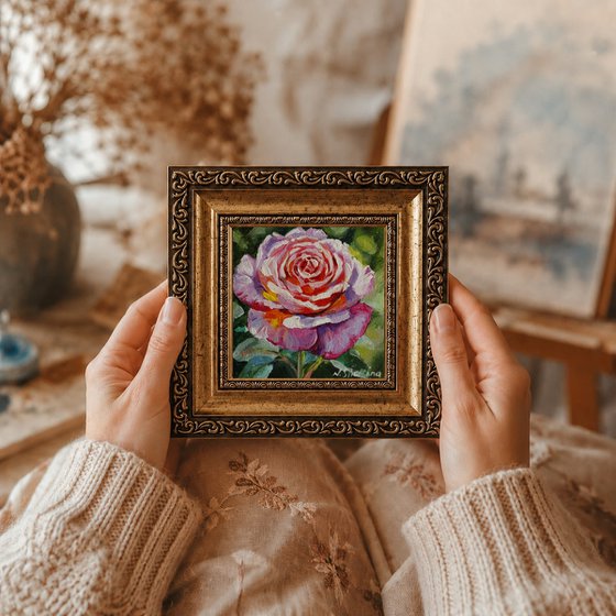 Pink Rose Miniature