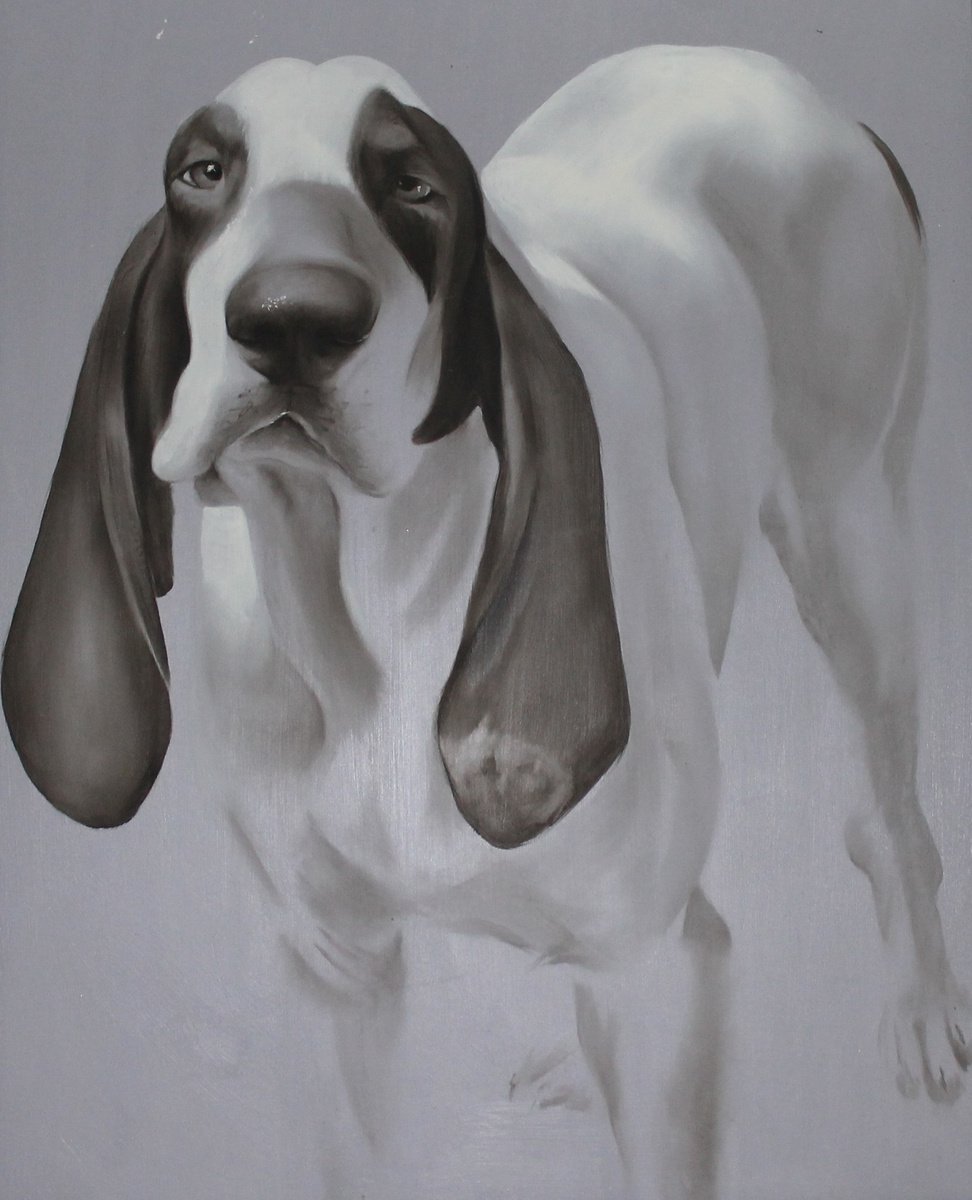 Photorealistic Animal Oil Painting By Nicoletta Bagatti, 20 X 24", Curioso, Original Artwork