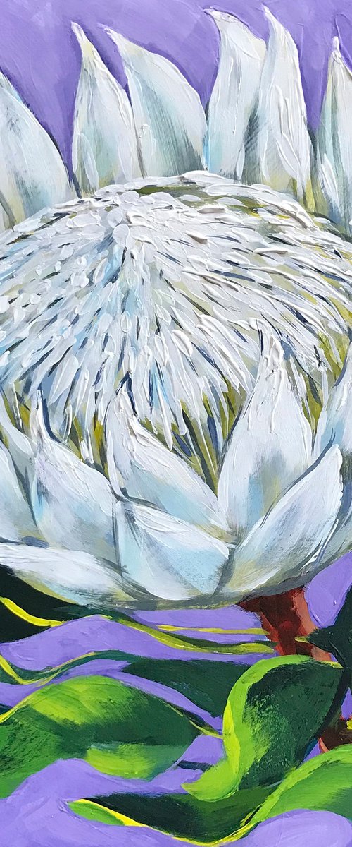 King White Protea by Irina Redine