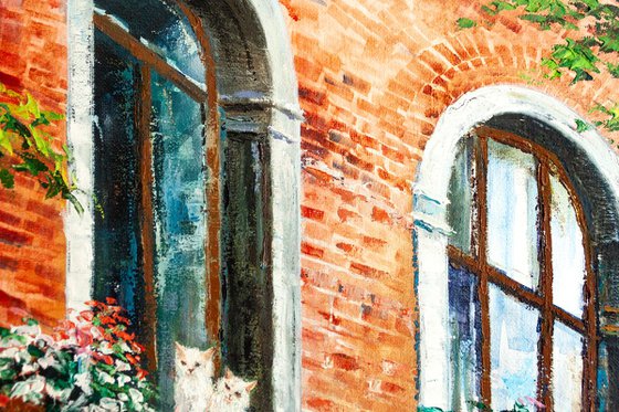 "Cats in the city" old town , cityscape, balcony flower