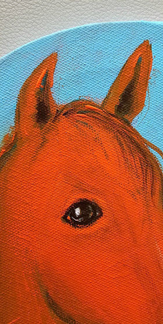 My little orange chestnut horse on blue