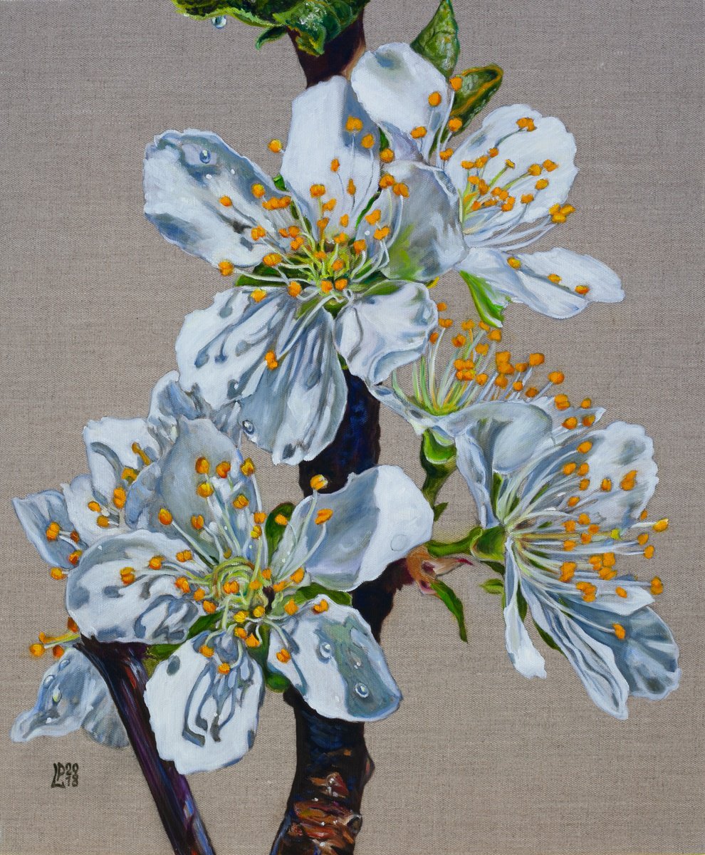 Photorealistic Oil Painting , Plum Blossom By Liudmila Pisliakova, 20 X 24, Artwork For Sale On Artfinder