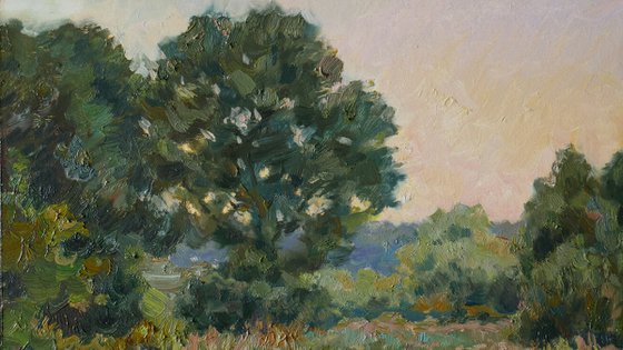 The Twilight Meadow