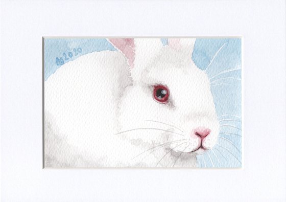 White rabbit 2