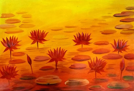 Beauty of Red Lotus