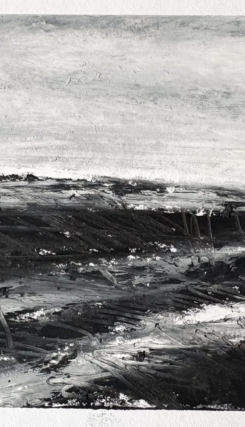 Landscape 4 by Steve Potts