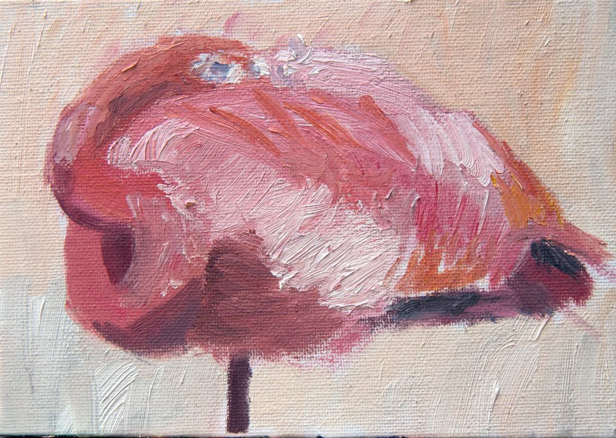 Flamingo Painting - Flamingos Sleeping 2 - Bird painting - Flamingo Wall Art by Ryan  Louder