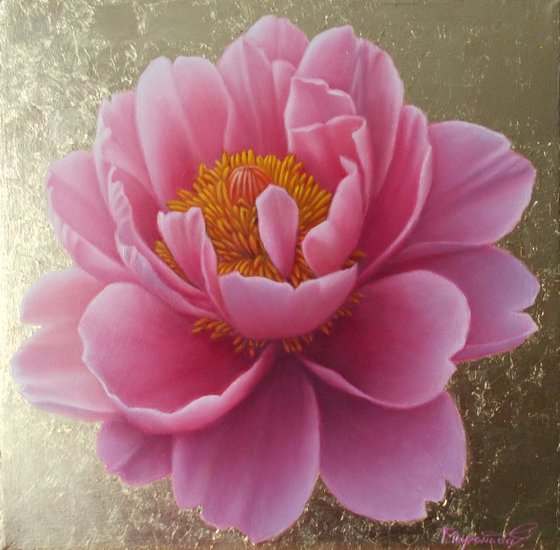 "Magic of Bloom"