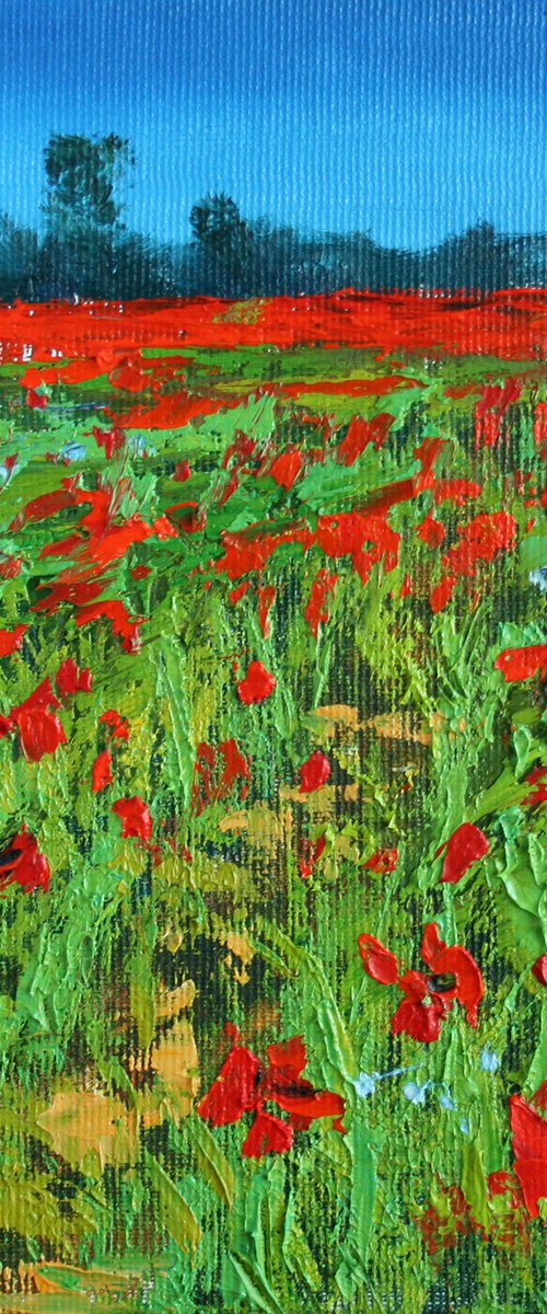 Field of Poppies /  ORIGINAL PAINTING by Salana Art Gallery