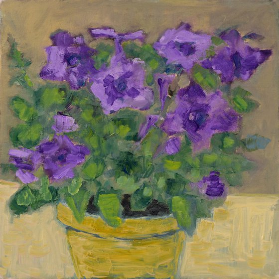 Violet Petunia