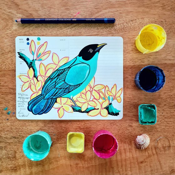 Birds of South America: Turquoise Honeycreeper and Forsythia