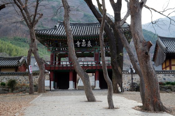 Bare Trees Before the Winter Gate
