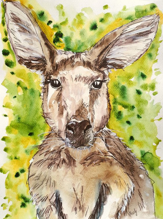 "Wallaroo"